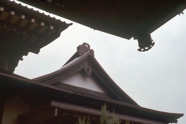 d032c195.jpg