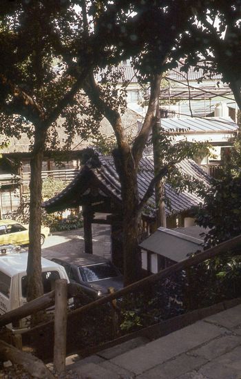 d032c221.jpg