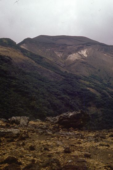 d032c329.jpg