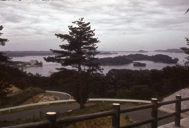 d032c353.jpg