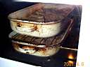 Dcp06834.jpg