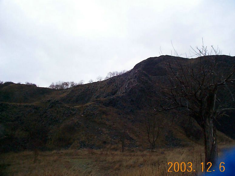 DCP15172.JPG