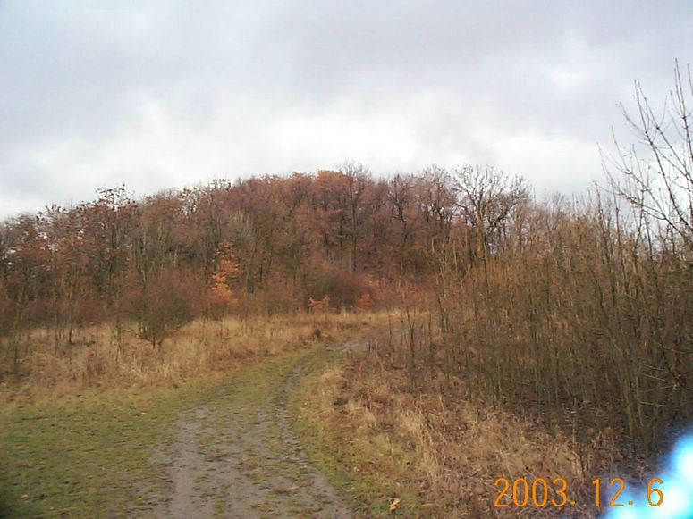 DCP15180.JPG