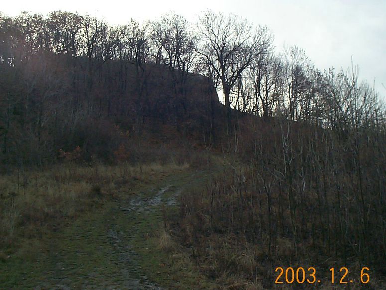 DCP15200.JPG