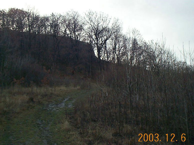 DCP15201.JPG