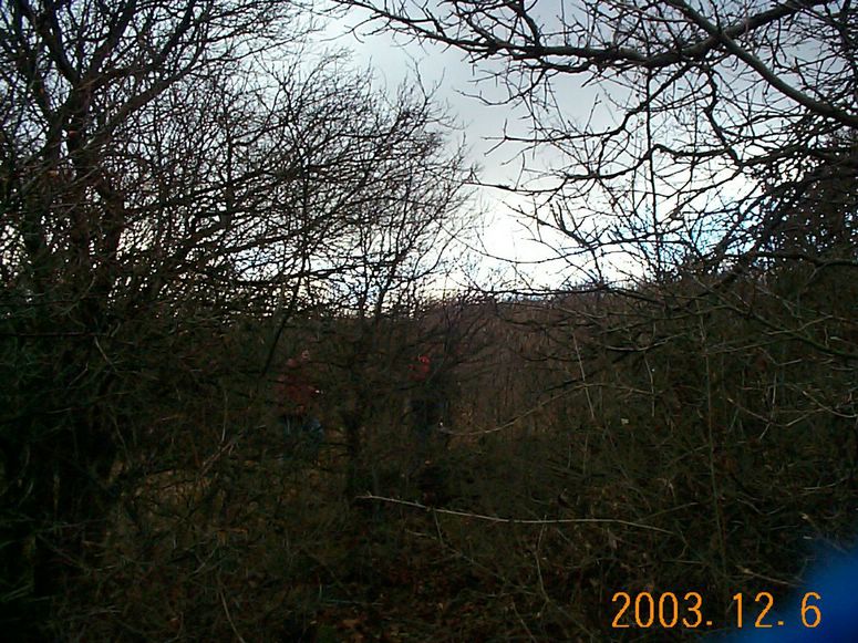 DCP15202.JPG