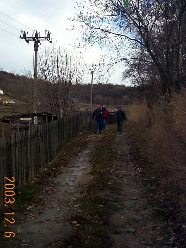 DCP15209.JPG