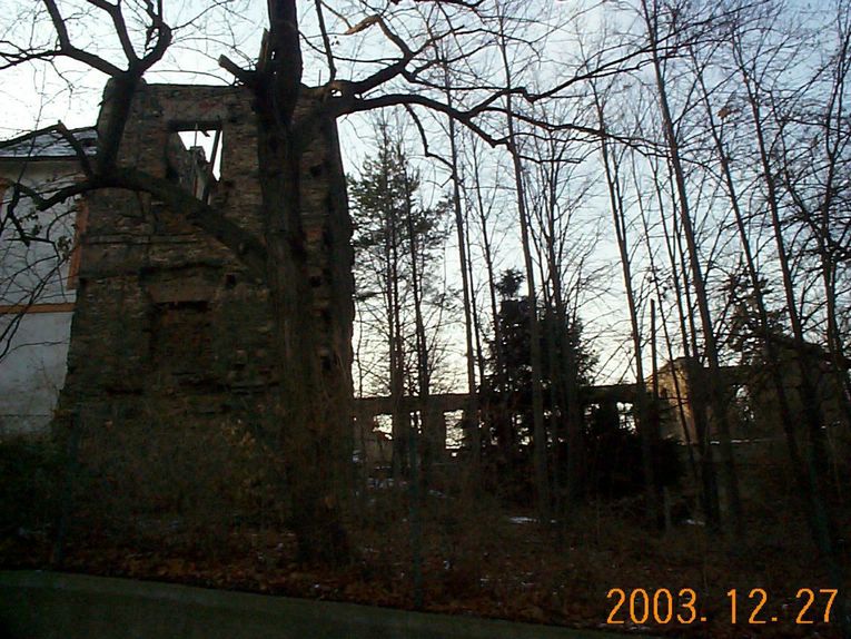 DCP15353.JPG