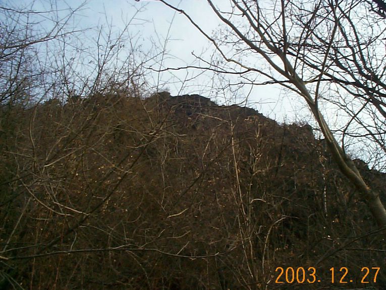DCP15364.JPG