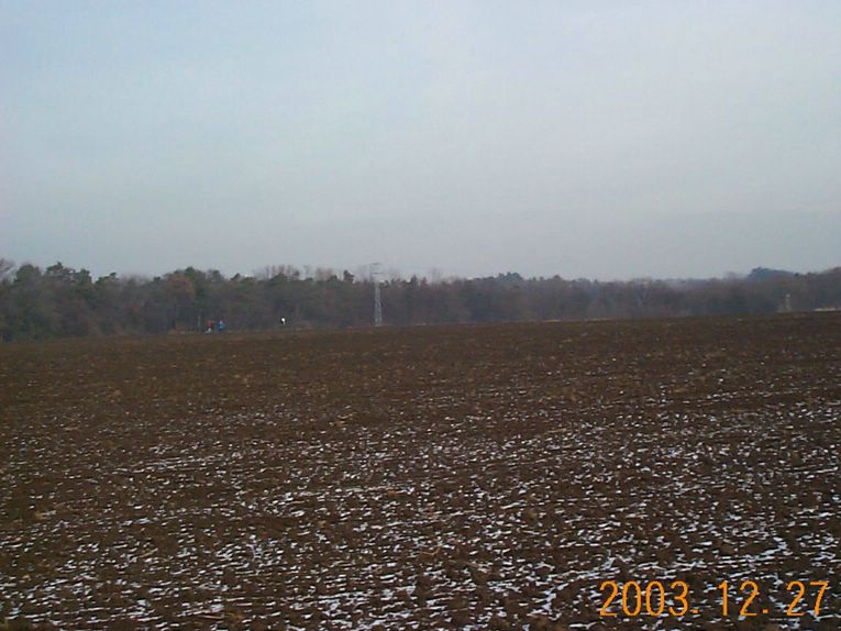 DCP15376.JPG