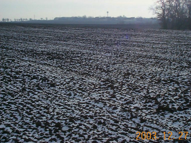 DCP15378.JPG