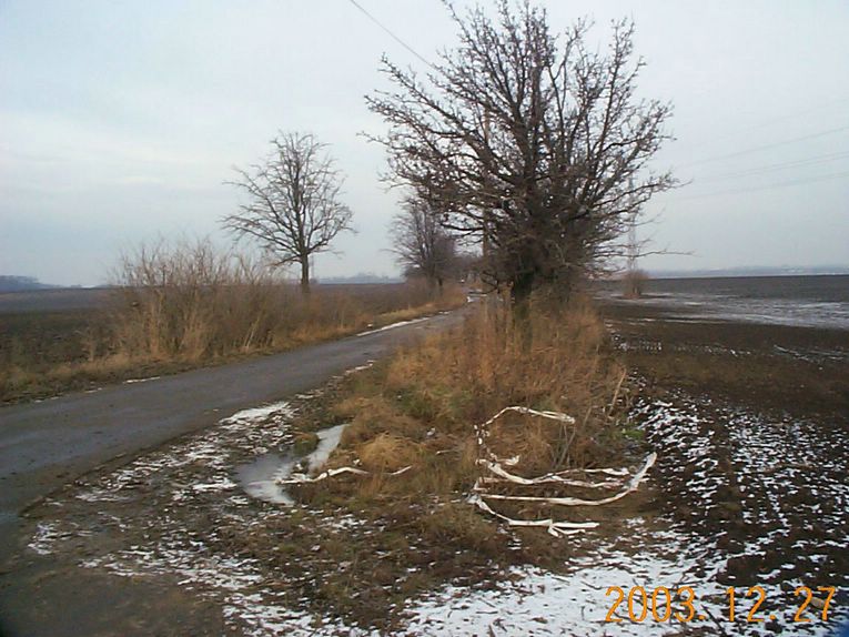 DCP15379.JPG