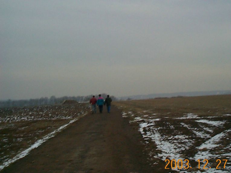 DCP15401.JPG