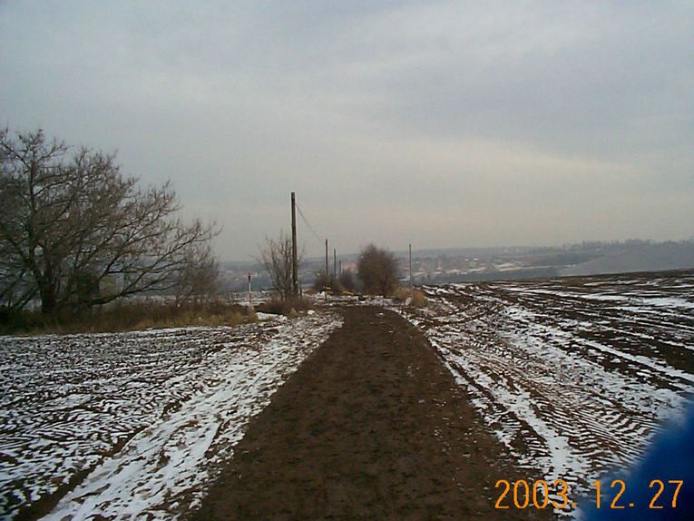 DCP15402.JPG