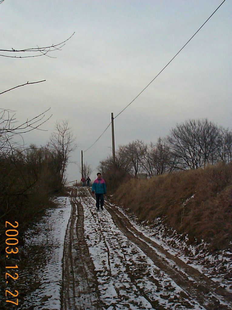 DCP15404.JPG