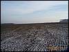 DCP15374.JPG