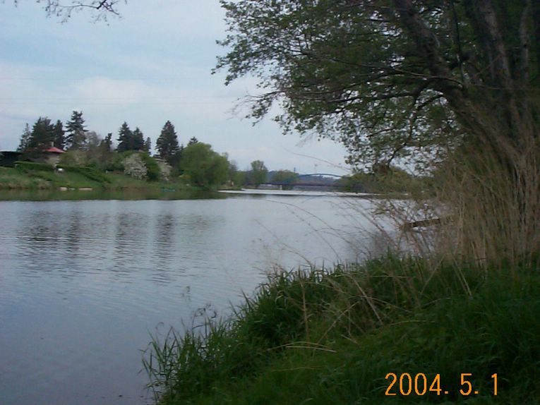 DCP15896.JPG