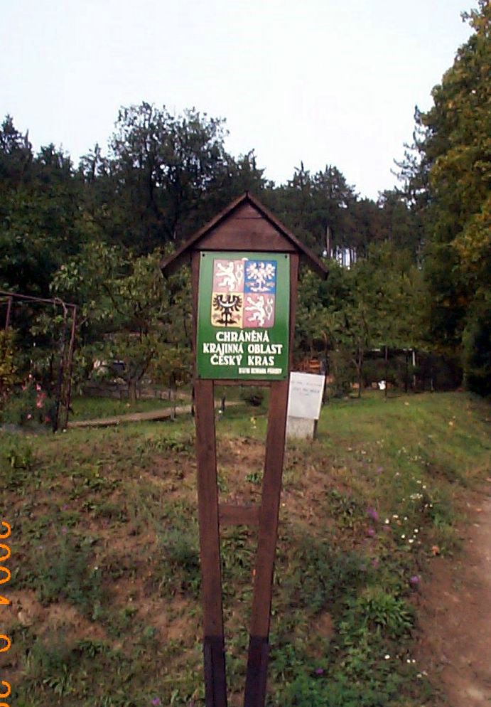 DCP17048.JPG