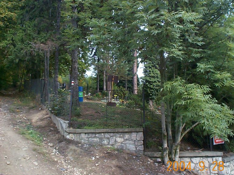 DCP17049.JPG