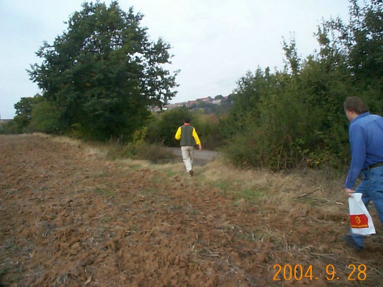 DCP17060.JPG