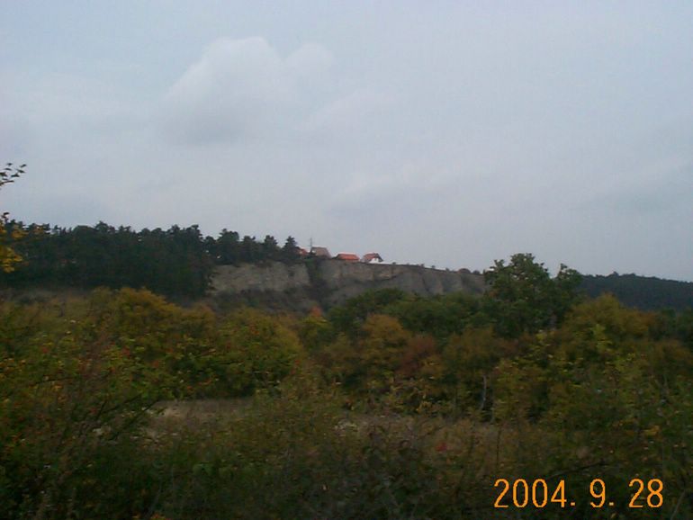 DCP17061.JPG