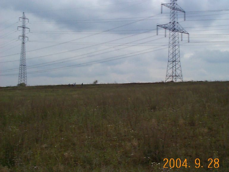 DCP17070.JPG