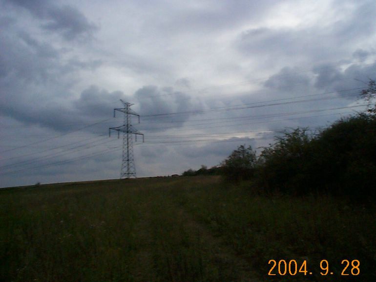 DCP17071.JPG