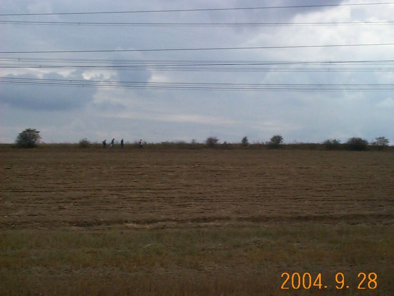 DCP17073.JPG