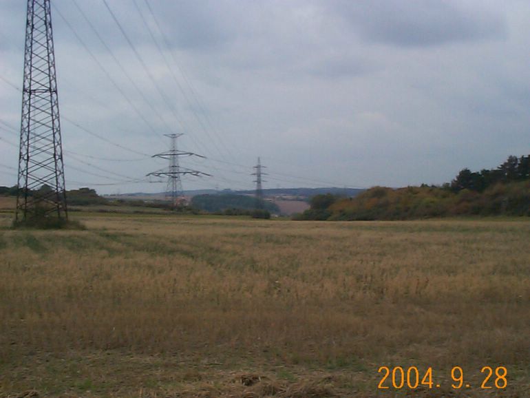 DCP17074.JPG