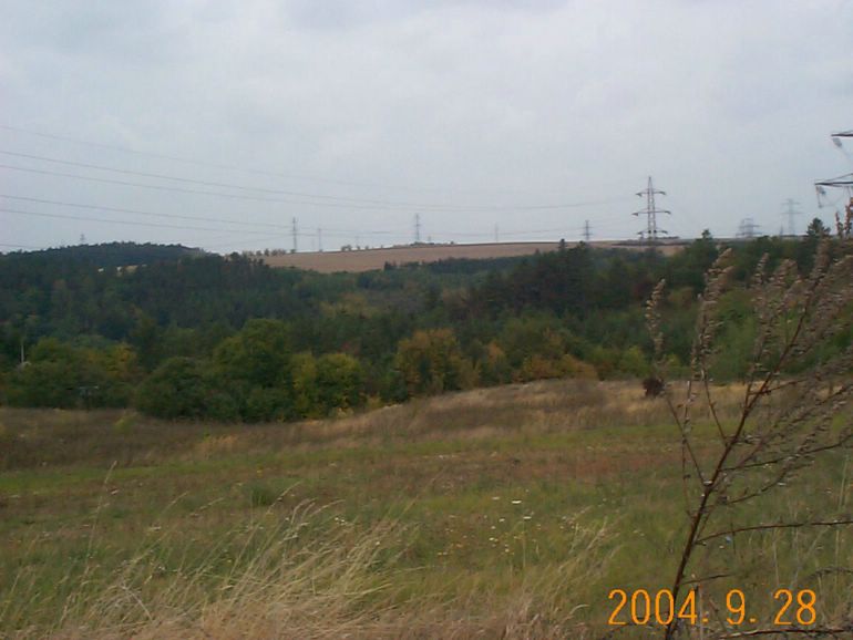 DCP17077.JPG