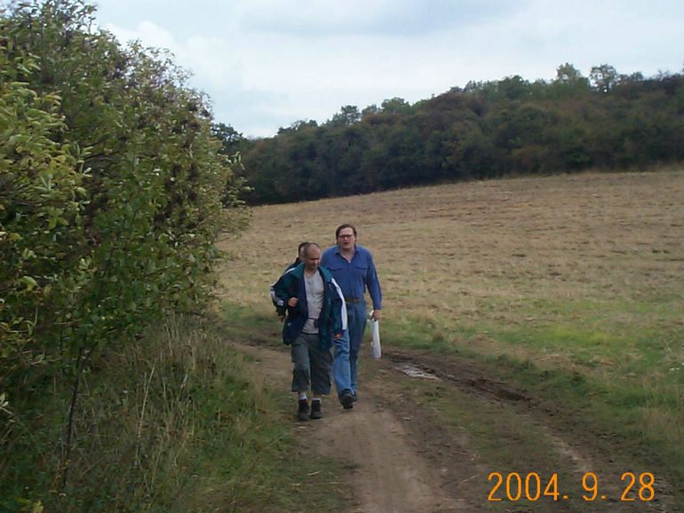 DCP17078.JPG