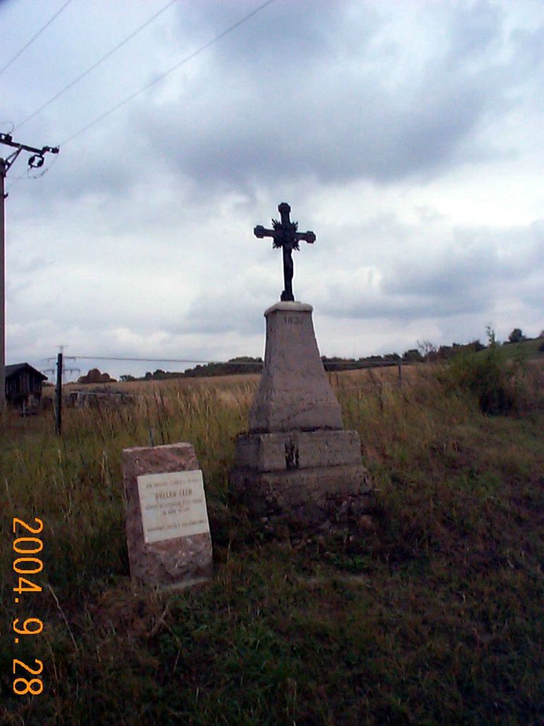 DCP17081.JPG