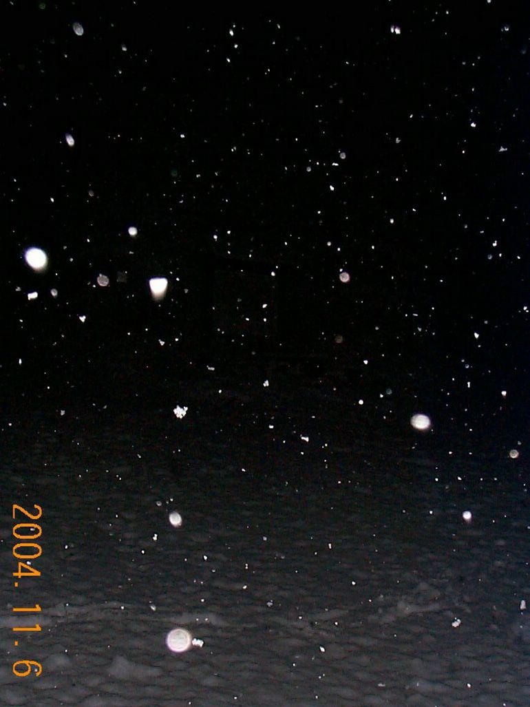 DCP17422.JPG
