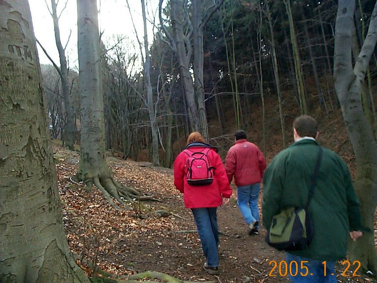 DCP17492.JPG
