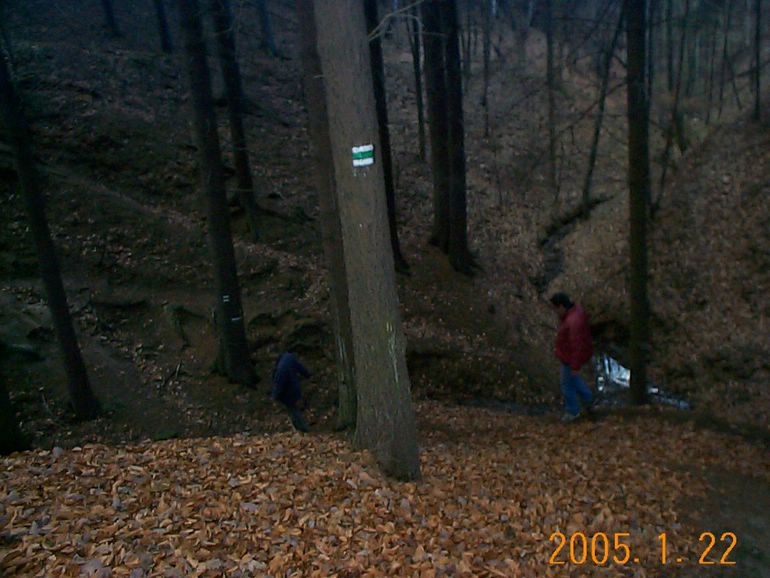 DCP17493.JPG