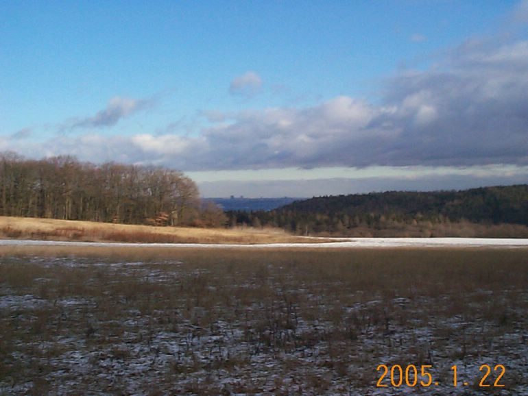 DCP17497.JPG