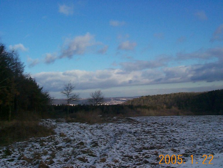 DCP17499.JPG