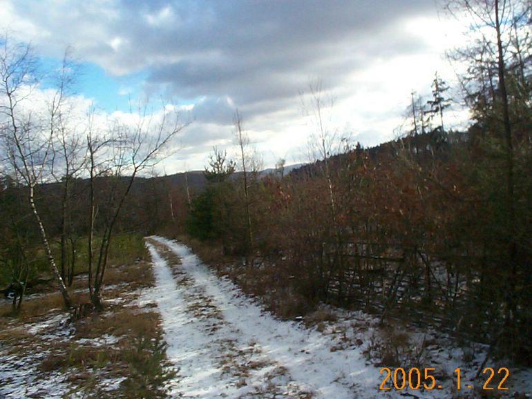 DCP17511.JPG