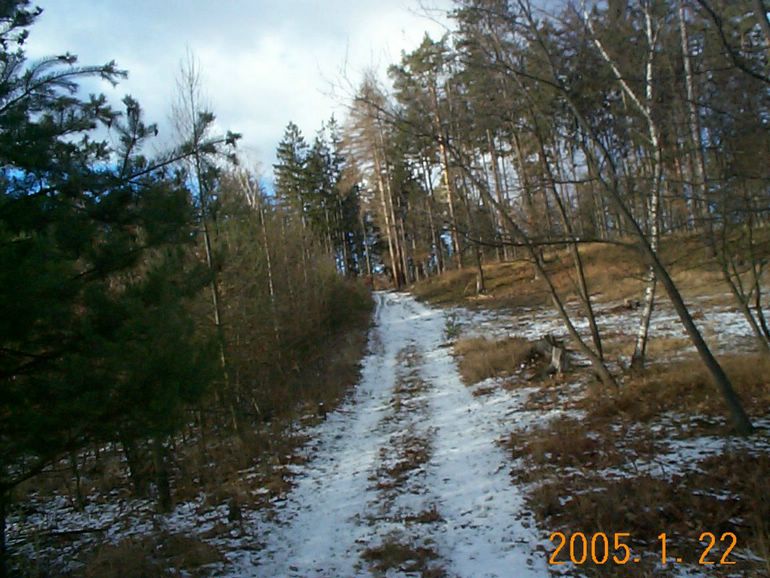 DCP17512.JPG