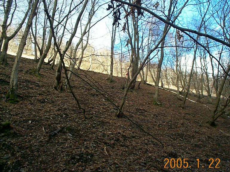 DCP17513.JPG