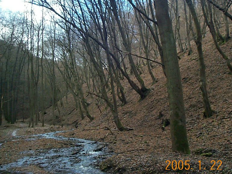 DCP17518.JPG