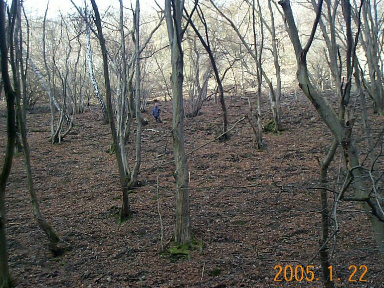 DCP17519.JPG