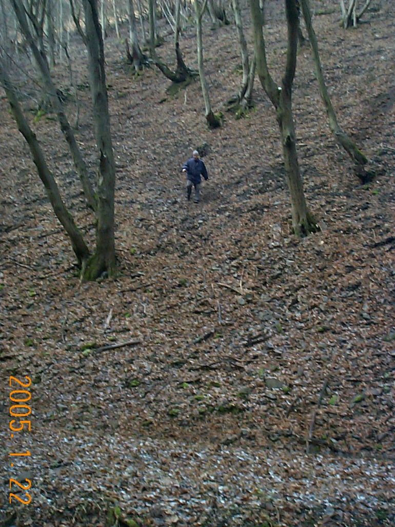 DCP17521.JPG