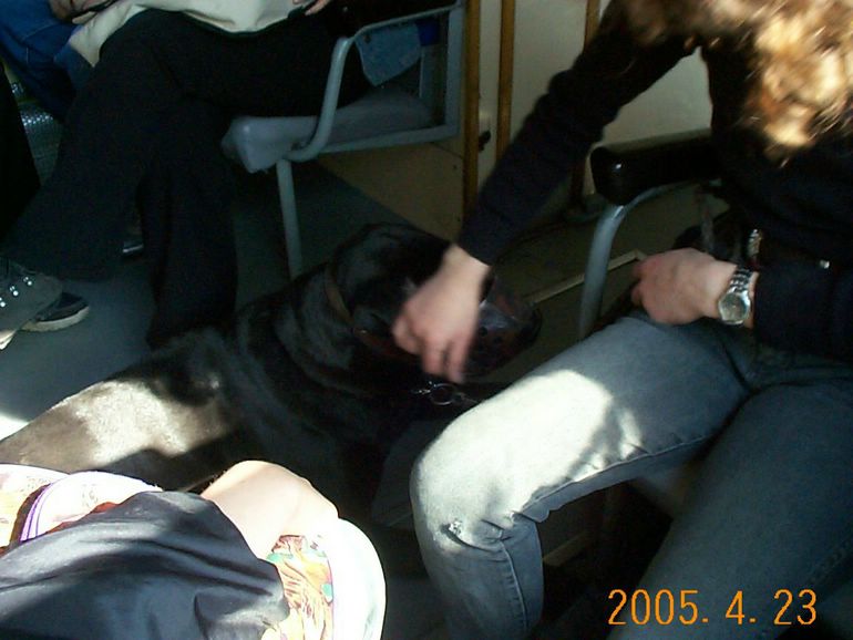 DCP17655.JPG