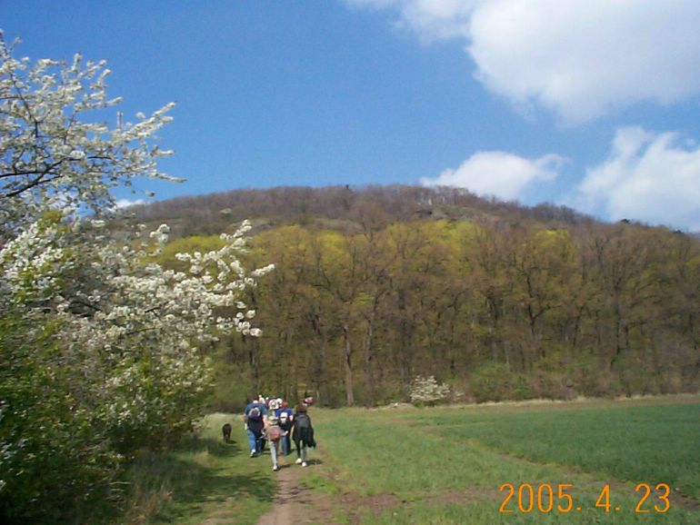 DCP17672.JPG