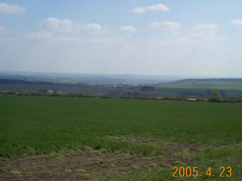 DCP17674.JPG