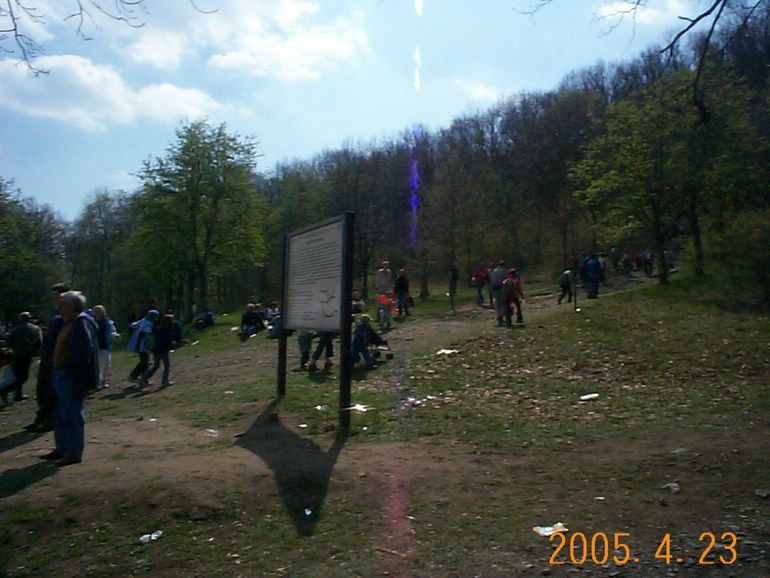 DCP17681.JPG