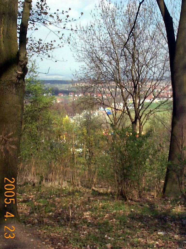 DCP17687.JPG