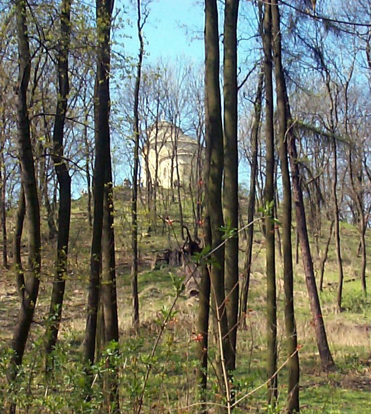 DCP17695.JPG