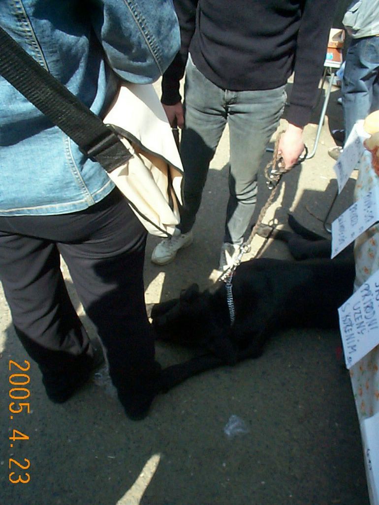 DCP17705.JPG
